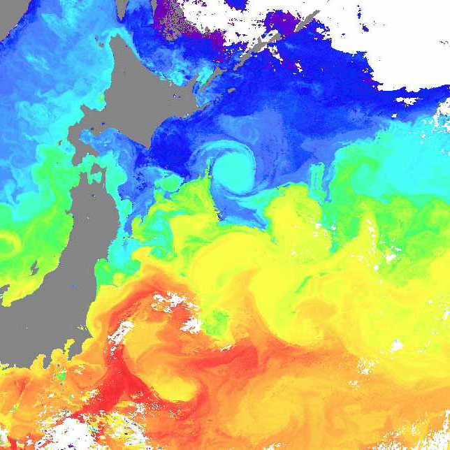 NOAA水温画像